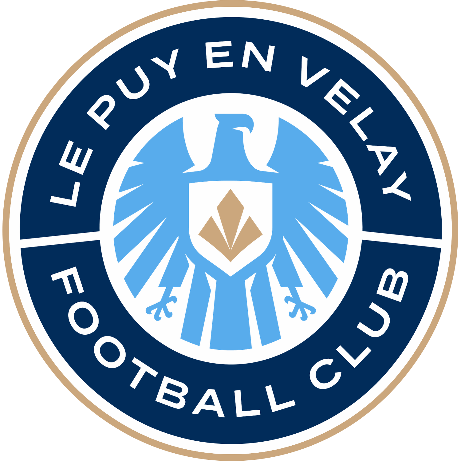 Le Puy Foot 43 logo – transparent PNG