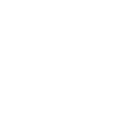 Angers white monochrome logo