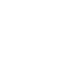 Auxerre white monochrome logo