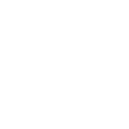 Brest white monochrome logo
