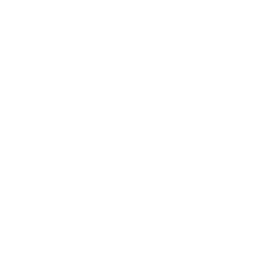 France National Team white monochrome logo