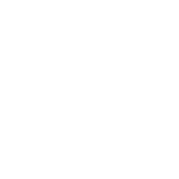 Le Mans FC white monochrome logo