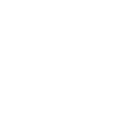 Lille white monochrome logo