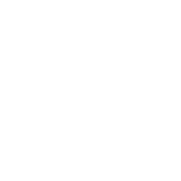 Lorient FC white monochrome logo