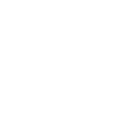 Olympique Lyonnais white monochrome logo