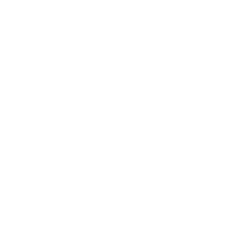 Nice white monochrome logo