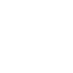 Paris FC white monochrome logo