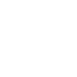 Paris Saint-Germain (PSG) white monochrome logo