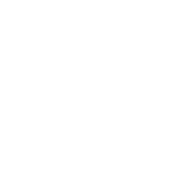 Toulouse white monochrome logo