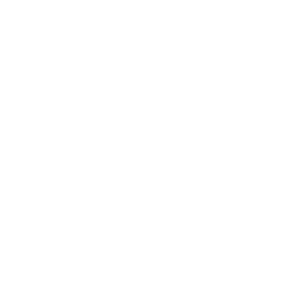 Troyes white monochrome logo