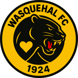 Wasquehal FC logo