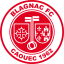 Blagnac FC logo
