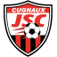 JS Cugnaux logo