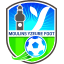 Moulins-Yzeure Foot 03 logo