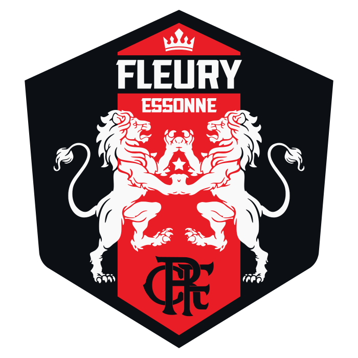 FC Fleury 91 (France) logo