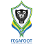 Gabon National Team (Gabon) logo