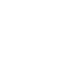 Bayer Leverkusen white monochrome logo