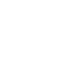 Borussia Dortmund white monochrome logo