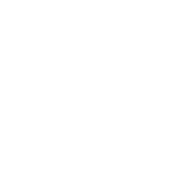 Freiburg white monochrome logo