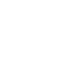 Hoffenheim white monochrome logo