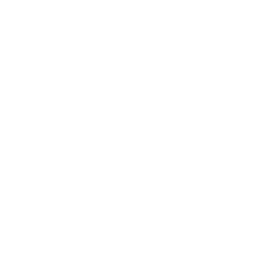 Mainz 05 white monochrome logo