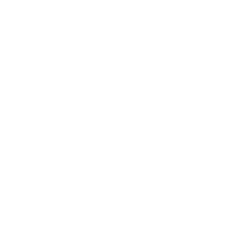 SC Paderborn white monochrome logo