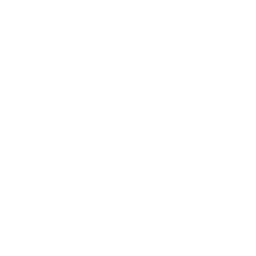 RB Leipzig white monochrome logo