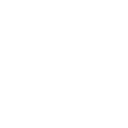 Schalke 04 white monochrome logo