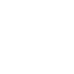 SV Elversberg white monochrome logo