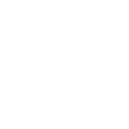 Union Berlin white monochrome logo