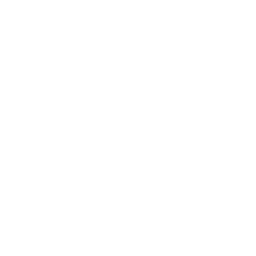 VfB Stuttgart white monochrome logo