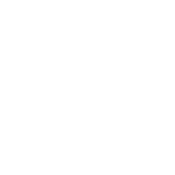 Werder Bremen white monochrome logo