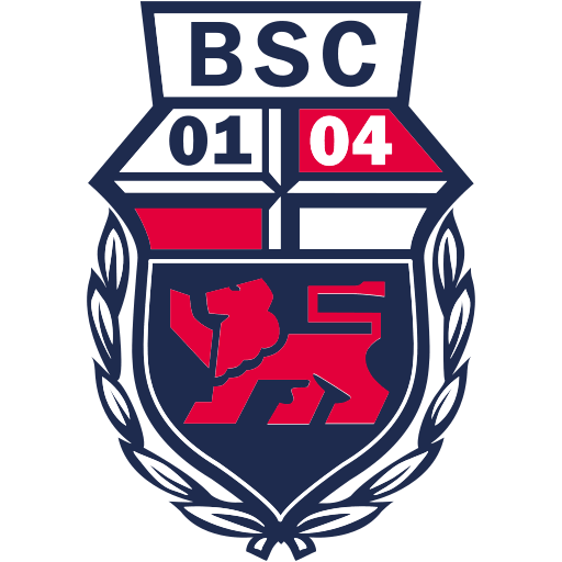 Bonner SC Logo PNG, SVG - Free Download
