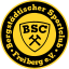 BSC Freiberg logo