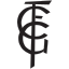 FC Gundelfingen logo