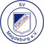 SV Fortuna Magdeburg logo