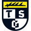 TSG Balingen (Regionalliga Südwest) logo