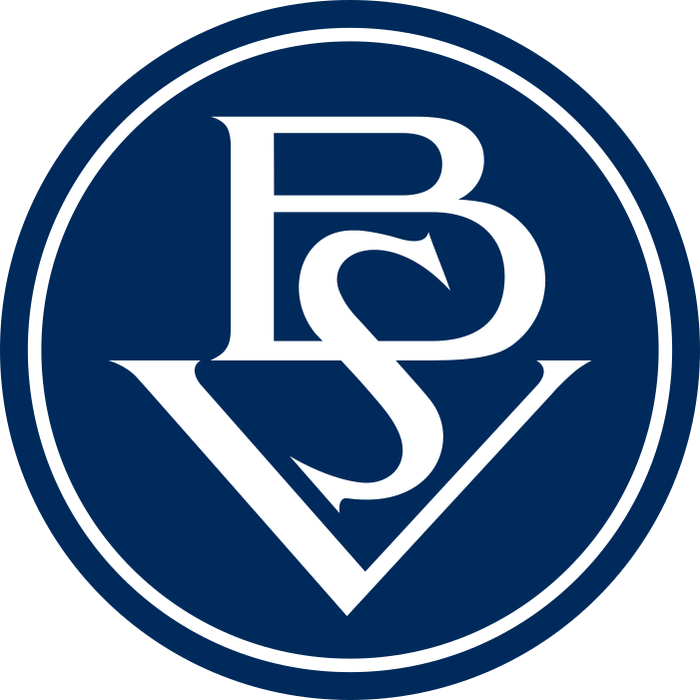 Bremer SV logo