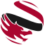 Hong Kong Premier League logo