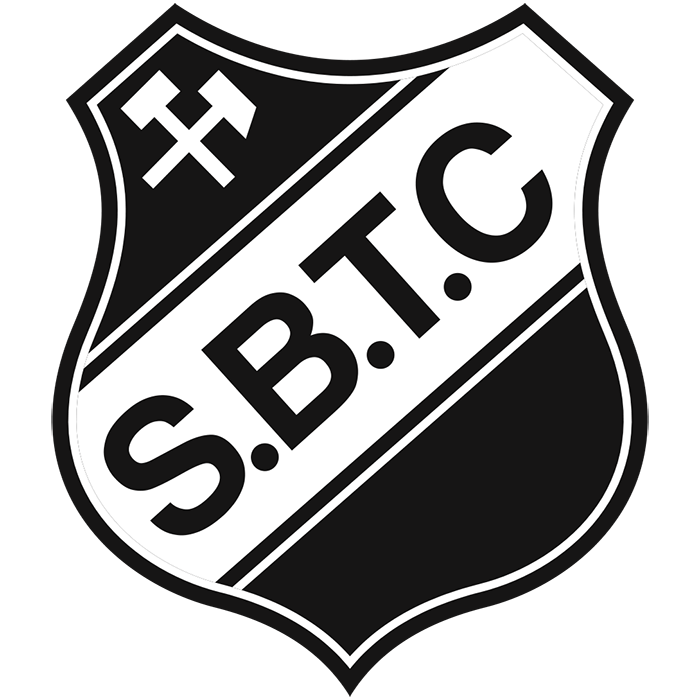 Salgótarján (Hungary) logo