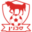 Bnei Sakhnin (איחוד בני סכנין) (Israel) logo