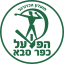 Hapoel Kfar-Saba (Israel) logo