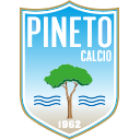 Pineto logo