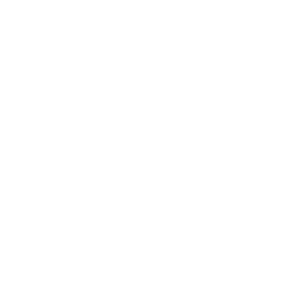 Cagliari white monochrome logo