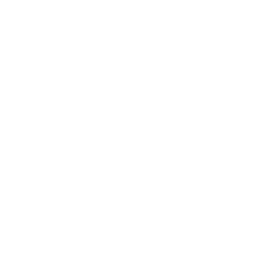 Como 1907 white monochrome logo