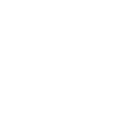 Fiorentina white monochrome logo