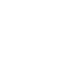 Frosinone Calcio white monochrome logo