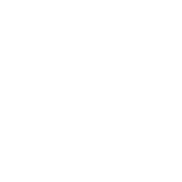 Lazio white monochrome logo