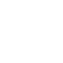Lecce white monochrome logo