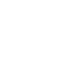 AC Monza white monochrome logo